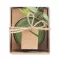 Lumanare de Craciun, Everestus, 18SEP2476, 10x8.5x8.5 cm, Sticla, Verde