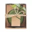 Lumanare de Craciun, Everestus, 18SEP2476, 10x8.5x8.5 cm, Sticla, Verde