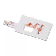 Memorie USB Memorama 16G