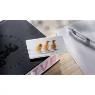 Memorie USB Memorama 16G