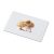 Memorie USB Memorama 1G