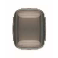   Caserola pranz, 1500 ml, 2410E21910, Everestus, 22.5 x 17 x 7.6 cm, Otel, Gri Transparent