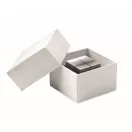 Trofeu cub, 2509E16945, Everestus, 3.9x3.9x3.9 cm, Sticla, Transparent
