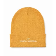   Caciula unisex, 2509E15303, Everestus, 20.5x21.5 cm, Acril, Galben