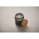 Lumanare ceara plante 70 gr, 2509E15530, Everestus, 6.2x6.2x6 cm, Ceara, Albastru marin francez