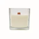 Lumanare ceara plante 600 gr, 2509E15529, Everestus, 12x12x12 cm, Ceara, Transparent