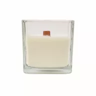   Lumanare ceara plante 600 gr, 2509E15529, Everestus, 12x12x12 cm, Ceara, Transparent