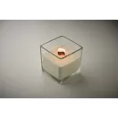 Lumanare ceara plante 600 gr, 2509E15529, Everestus, 12x12x12 cm, Ceara, Transparent