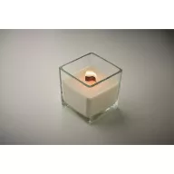   Lumanare ceara plante 600 gr, 2509E15529, Everestus, 12x12x12 cm, Ceara, Transparent
