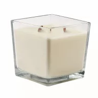   Lumanare ceara plante 1300 gr, 2509E15528, Everestus, 14x14x14 cm, Ceara, Transparent