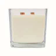   Lumanare ceara plante 1300 gr, 2509E15528, Everestus, 14x14x14 cm, Ceara, Transparent