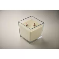   Lumanare ceara plante 1300 gr, 2509E15528, Everestus, 14x14x14 cm, Ceara, Transparent
