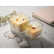   Lumanare ceara plante 1300 gr, 2509E15528, Everestus, 14x14x14 cm, Ceara, Transparent