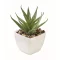 Mini planta artificiala, Everestus, 2601E14070, 5.7x5.7x11.2 cm, Polipropilena, Alb