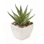 Mini planta artificiala, Everestus, 2601E14070, 5.7x5.7x11.2 cm, Polipropilena, Alb