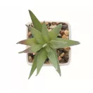 Mini planta artificiala, Everestus, 2601E14070, 5.7x5.7x11.2 cm, Polipropilena, Alb