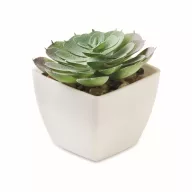   Mini planta artificiala, Everestus, 2601E14071, 5.7x5.7x6.7 cm, Polipropilena, Alb