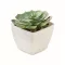 Mini planta artificiala, Everestus, 2601E14071, 5.7x5.7x6.7 cm, Polipropilena, Alb