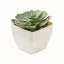 Mini planta artificiala, Everestus, 2601E14071, 5.7x5.7x6.7 cm, Polipropilena, Alb