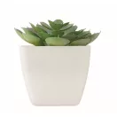 Mini planta artificiala, Everestus, 2601E14071, 5.7x5.7x6.7 cm, Polipropilena, Alb