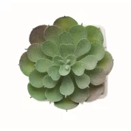   Mini planta artificiala, Everestus, 2601E14071, 5.7x5.7x6.7 cm, Polipropilena, Alb