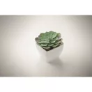 Mini planta artificiala, Everestus, 2601E14071, 5.7x5.7x6.7 cm, Polipropilena, Alb