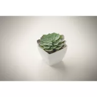   Mini planta artificiala, Everestus, 2601E14071, 5.7x5.7x6.7 cm, Polipropilena, Alb