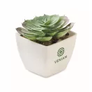 Mini planta artificiala, Everestus, 2601E14071, 5.7x5.7x6.7 cm, Polipropilena, Alb