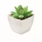 Mini planta artificiala, Everestus, 2601E14072, 5.7x5.7x7.8 cm, Polipropilena, Alb