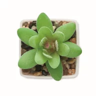   Mini planta artificiala, Everestus, 2601E14072, 5.7x5.7x7.8 cm, Polipropilena, Alb