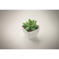   Mini planta artificiala, Everestus, 2601E14072, 5.7x5.7x7.8 cm, Polipropilena, Alb