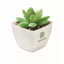 Mini planta artificiala, Everestus, 2601E14072, 5.7x5.7x7.8 cm, Polipropilena, Alb
