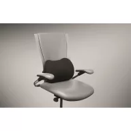  Perna ergonomica pentru sustinerea spatelui, Everestus, 2610E18256, 40x28x10 cm, Poliuretan, Negru