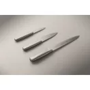 Set 3 cutite de bucatarie, Everestus, 2610E19063, 36x13x4 cm, Otel inoxidabil, Argintiu