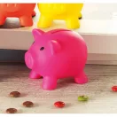 Pusculita porc din pvc si abs, 90x70x70 mm, Everestus, MBP03, plastic, fuchsia