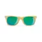 Ochelari de soare, Everestus, OSSG118, abs, maro