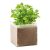 Compost cu seminte "BASIL", materiale multiple, beige