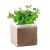 Compost cu seminte "MINT", materiale multiple, beige