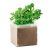 Compost cu seminte "PARSLEY", materiale multiple, beige