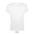 REGENT-F-MEN TSHIRT-150g, Cotton, white, TWIN, L