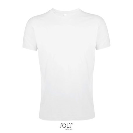 REGENT-F-MEN TSHIRT-150g, Cotton, white, TWIN, XL