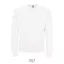 Bluza barbati, 22FEB1761, 3XL, masculin, 58x38x42 cm, Poliester, Bumbac, Alb