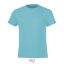REGENT-F-KIDS TSHIRT-150g, Cotton, Atoll, MALE, M