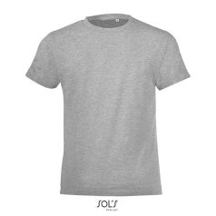 REGENT-F-KIDS TSHIRT-150g, Cotton, Grey Melange, MALE, M