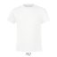 REGENT-F-KIDS TSHIRT-150g, Cotton, white, MALE, 4XL