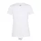 REGENT-WOMEN TSHIRT-150g, Cotton, white, TWIN, M