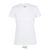 REGENT-WOMEN TSHIRT-150g, Cotton, white, TWIN, XL