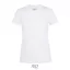REGENT-WOMEN TSHIRT-150g, Cotton, white, TWIN, XL