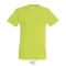 REGENT-UNI TSHIRT-150g, Cotton, Apple Green, TWIN, L