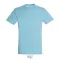 REGENT-UNI TSHIRT-150g, Cotton, Atoll, TWIN, M
